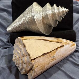 Decorative Conch shells